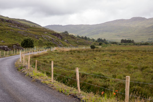 Straße zum Ballaghbeama Gap