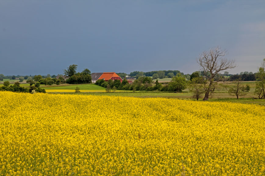 Landschaft südlich von Prästo