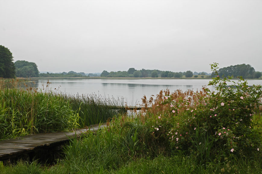 Serrahner See in der Krakower Seenlandschaft
