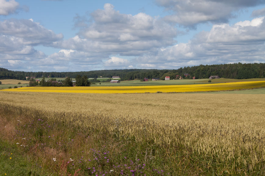 Viele Felder vor Painio an der Straße 2351, Finnland