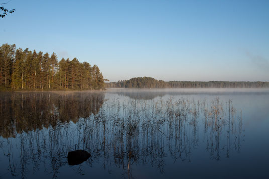 Sarkavesi, Finnland