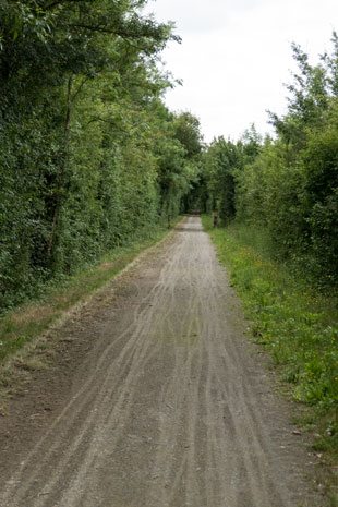 Bahnradweg östlich von Le Mêle-sur-Sarthe