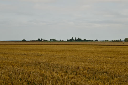 Felder bei Meslay-Le-Grenet