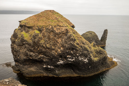Bild: Papageientaucher bevölkern die Felsen vor der Küste bei Rauðanes