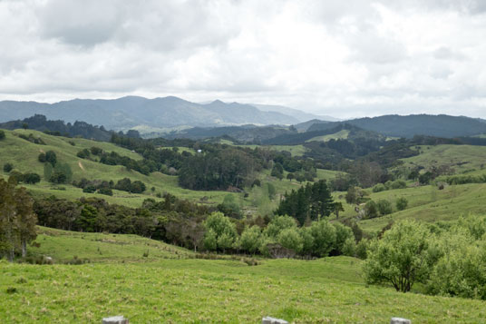 Blick von der Kaitaia-Awaroa Road auf den Herekino Forest
