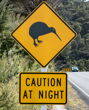 Caution Kiwi