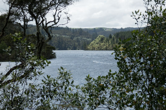 Lake Waipapa nördlich von Mangakino (Waipapa Section)