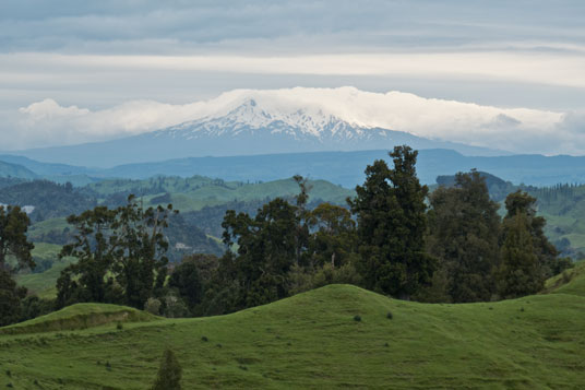 Blick von der Ruahine Road auf den Mount Ruapehu