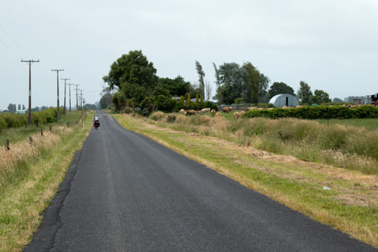 O'Donoghue Road südlich von Te Aroha