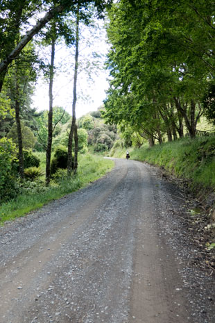 Owhakura Road