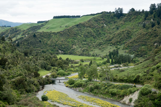 Blick von der Ruahine Road auf den Mount Ruapehu