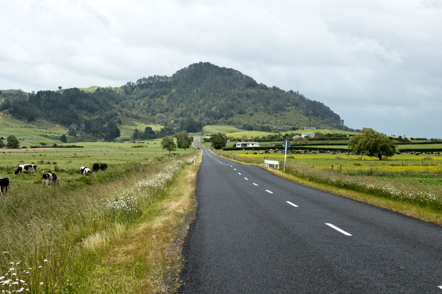 Pukemoremore Road südlich von Tauwhare