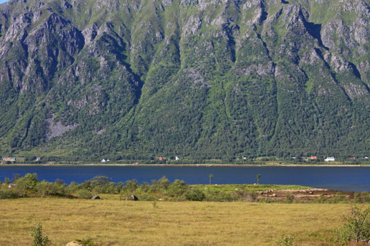 Forfjord, Vesterålen