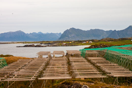Bild: Gestelle für Trockenfisch auf Gimsøya