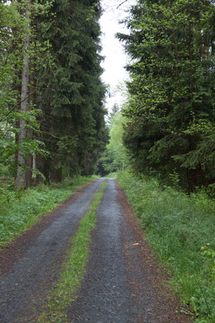 Paneuropa-Radweg kurz hinter der tschechisch-deutschen Grenze im Wald südlich von Železná