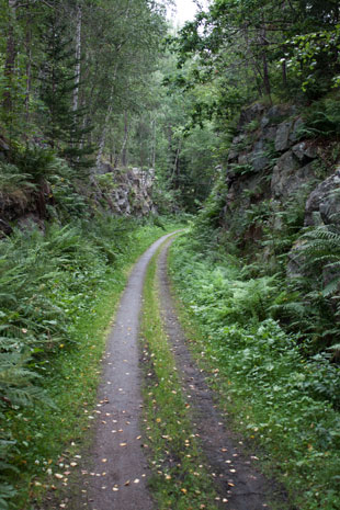 Bahnradweg von Gusum nach Valdemarsvik, Schweden