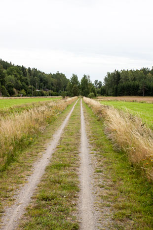 Bahnradweg von Gusum nach Valdemarsvik, Schweden