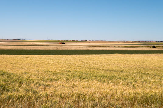 Riesige Felder an der SA-605 nördlich von Salamanca
