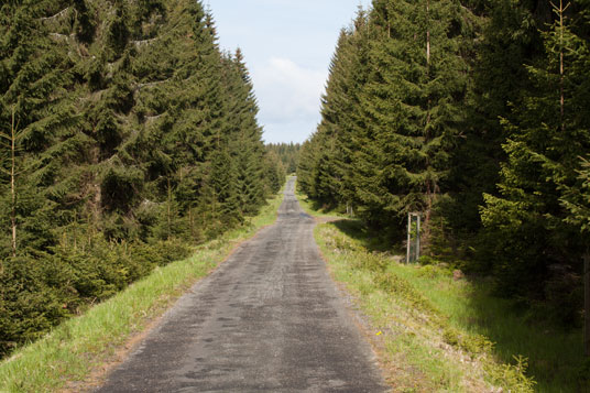 Radweg 23 im Wald drei Kilometer westlich von Horni Blatná
